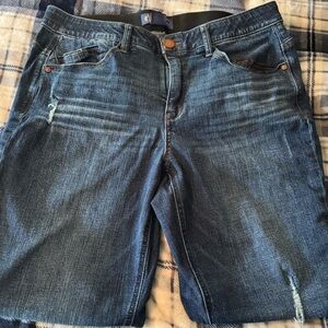 Democracy Women's Straight Leg Jeans - Indigo Blue with Light Whiskering